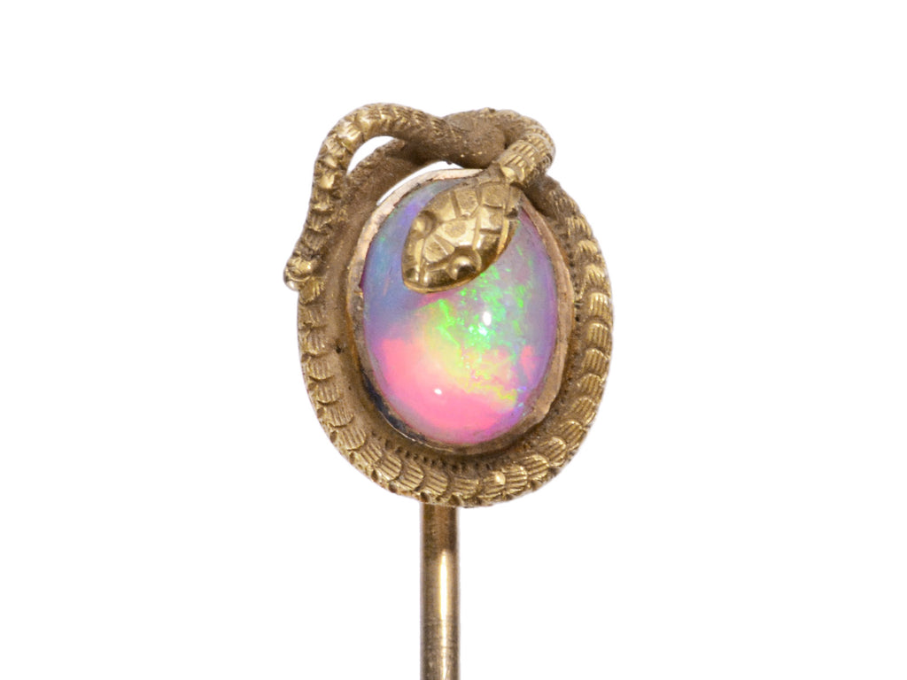 c1890 Snake Opal Pin (on white background)