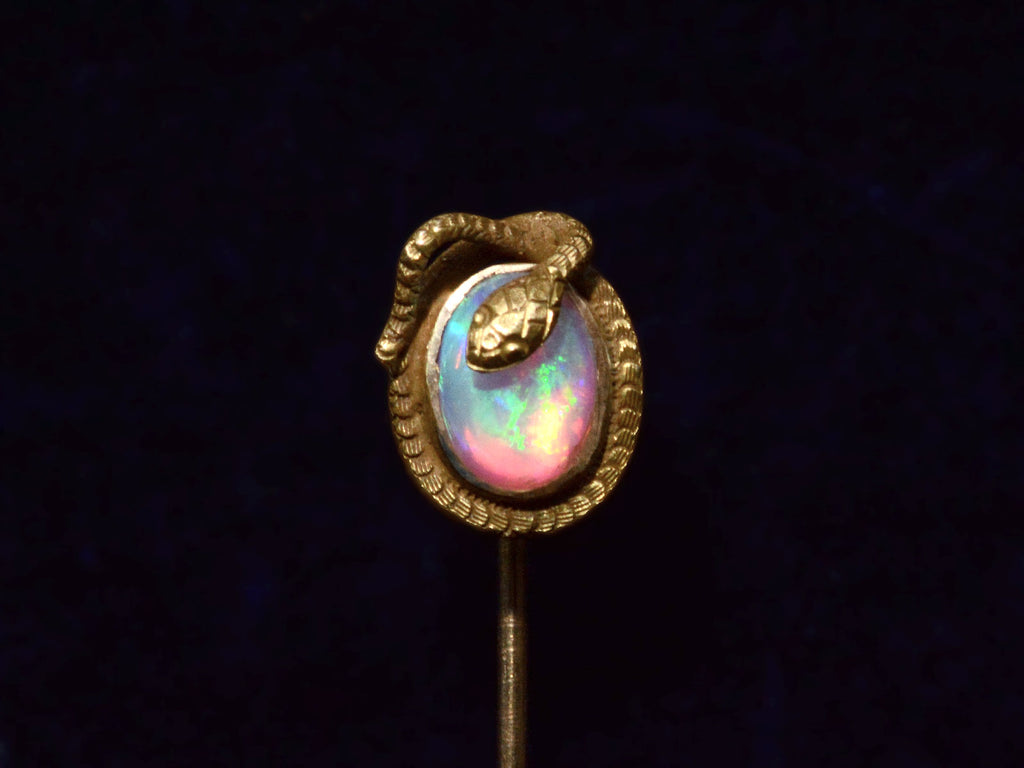 c1890 Snake Opal Pin (on black background)