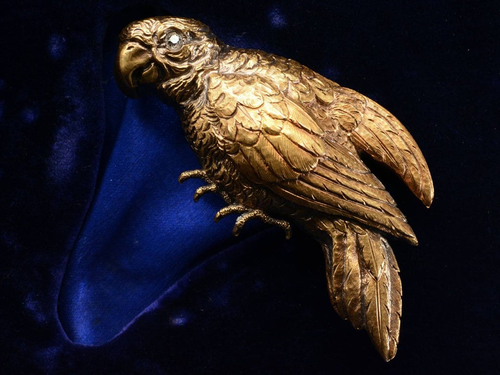 c1880 Parrot Brooch (detail view)