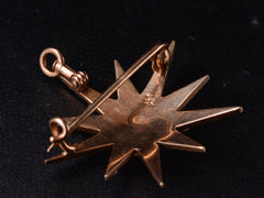 thumbnail of 1900s Riker Bros Pearl Star (back side view)