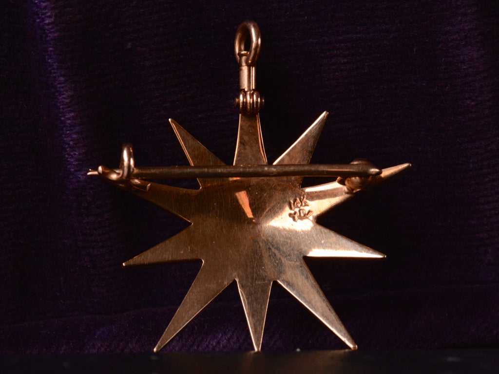 1900s Riker Bros Pearl Star (backside)