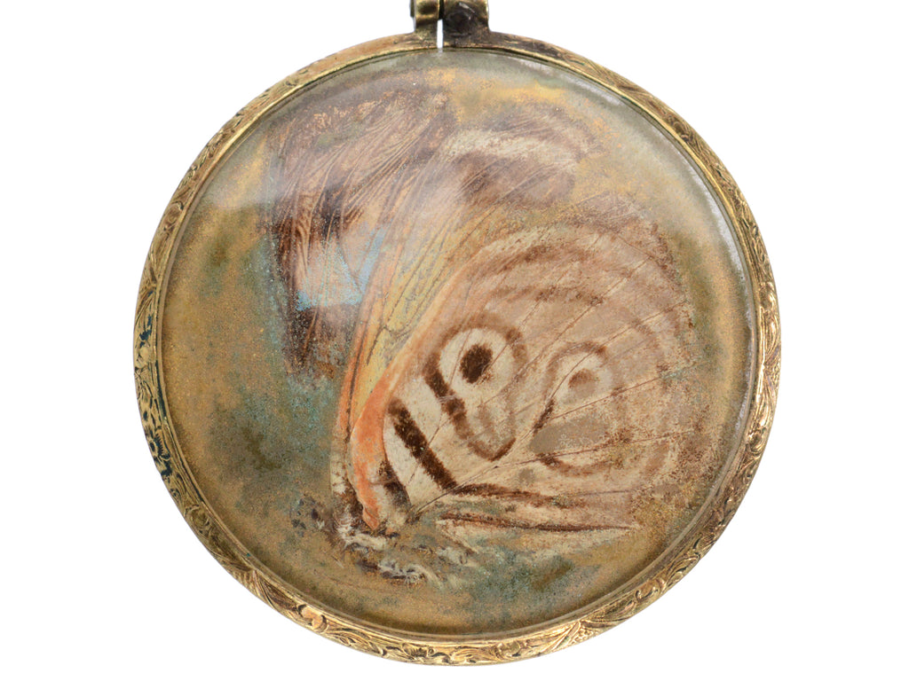 c1920 Butterfly Wing Pendant (shown on white background)