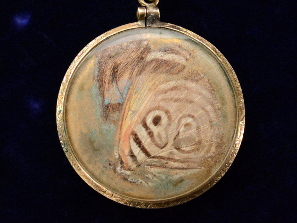 c1920 Butterfly Wing Pendant (shown on black background)