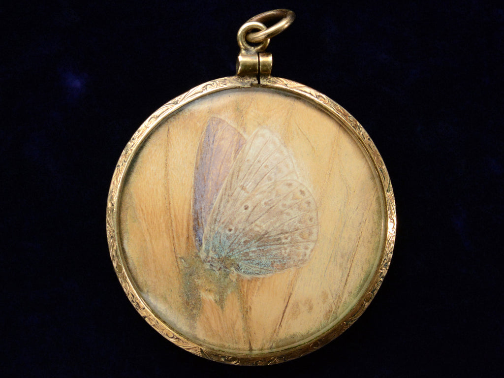 Reverse side of c1920 Butterfly Wing Pendant  shown on black background