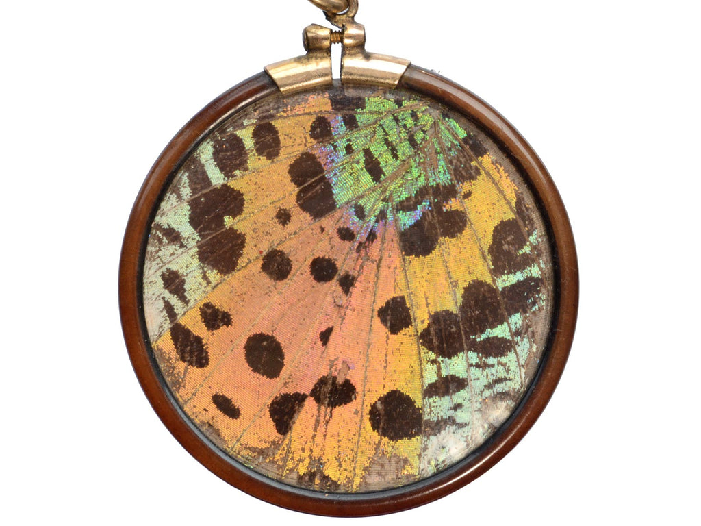 c1920 Butterfly Wing Pendant (on white background)
