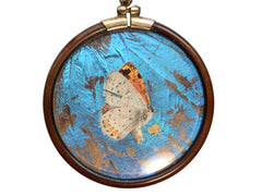 thumbnail of c1920 Butterfly Wing Pendant (backside on white background)