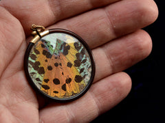 thumbnail of c1920 Butterfly Wing Pendant (on hand for scale)