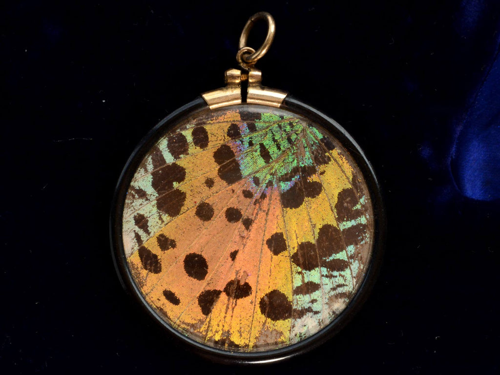 c1920 Butterfly Wing Pendant (on black background)