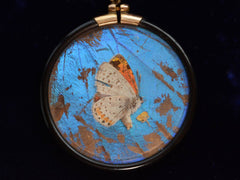 thumbnail of c1920 Butterfly Wing Pendant (backside)