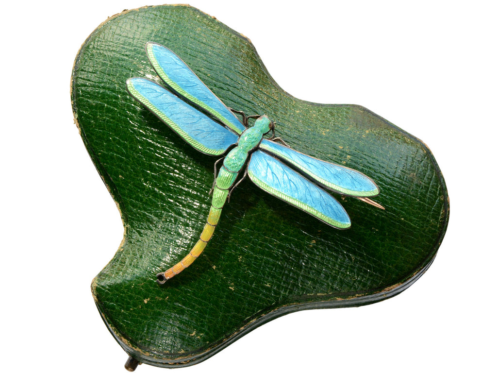 c1900 Child & Child Dragonfly Brooch (shown resting on its green box)