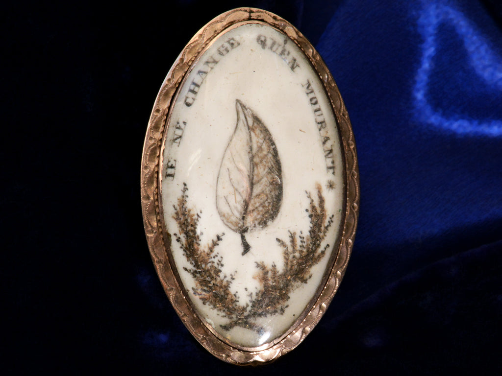 Front view of c1800 Georgian Sepia Miniature of an ivy leaf with the words "je ne change qu'en mourant" (shown on black and blue background)