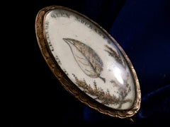 thumbnail of Side detail view of c1800 Georgian Sepia Miniature of an ivy leaf with the words "je ne change qu'en mourant" (shown on black background)