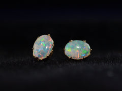 thumbnail of c1940 Opal Stud Earrings (on black background)