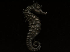thumbnail of Ac1970 Darkened Silver Seahorse Brooch on dark background.