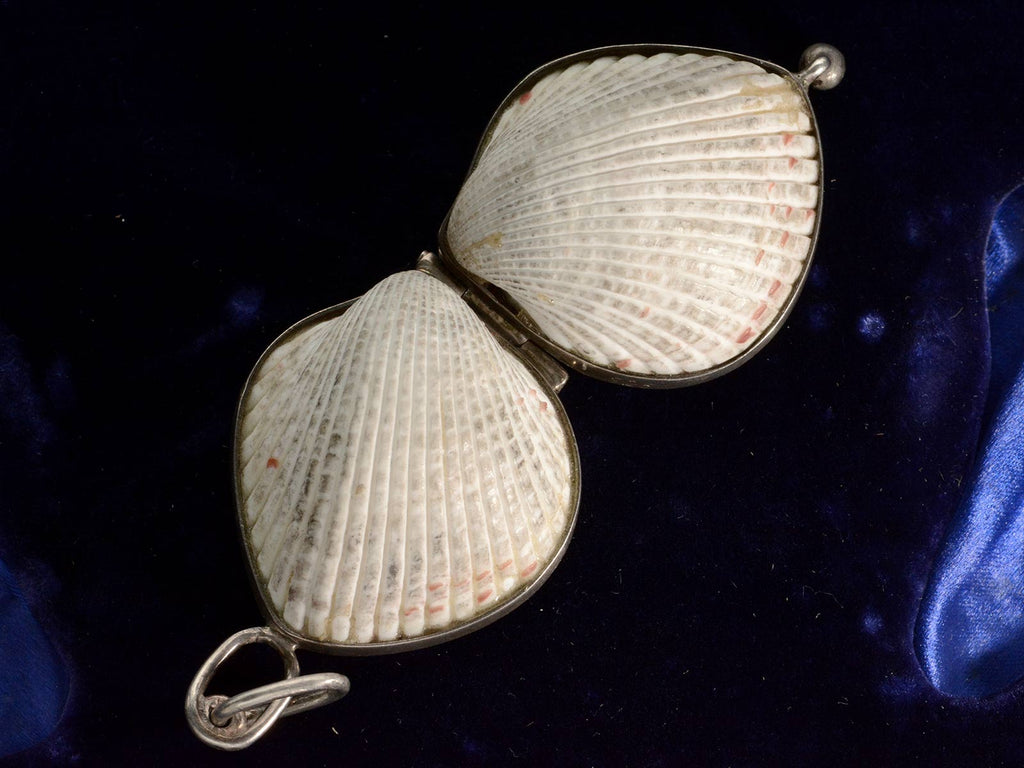c1970 Seashell Locket (detail)