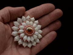 thumbnail of A vintage brooch featuring white shell petals arranged in a sunburst pattern around a central peach and brown shell cabochon, set in a pinkish-beige textured border, on hand.