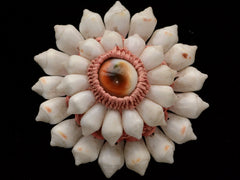 thumbnail of A vintage brooch featuring white shell petals arranged in a sunburst pattern around a central peach and brown shell cabochon, set in a pinkish-beige textured border, on black background.