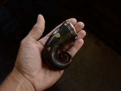 thumbnail of Side profile of c1811 Dark Brown Ram's Horn Snuff Box (shown on hand for scale)