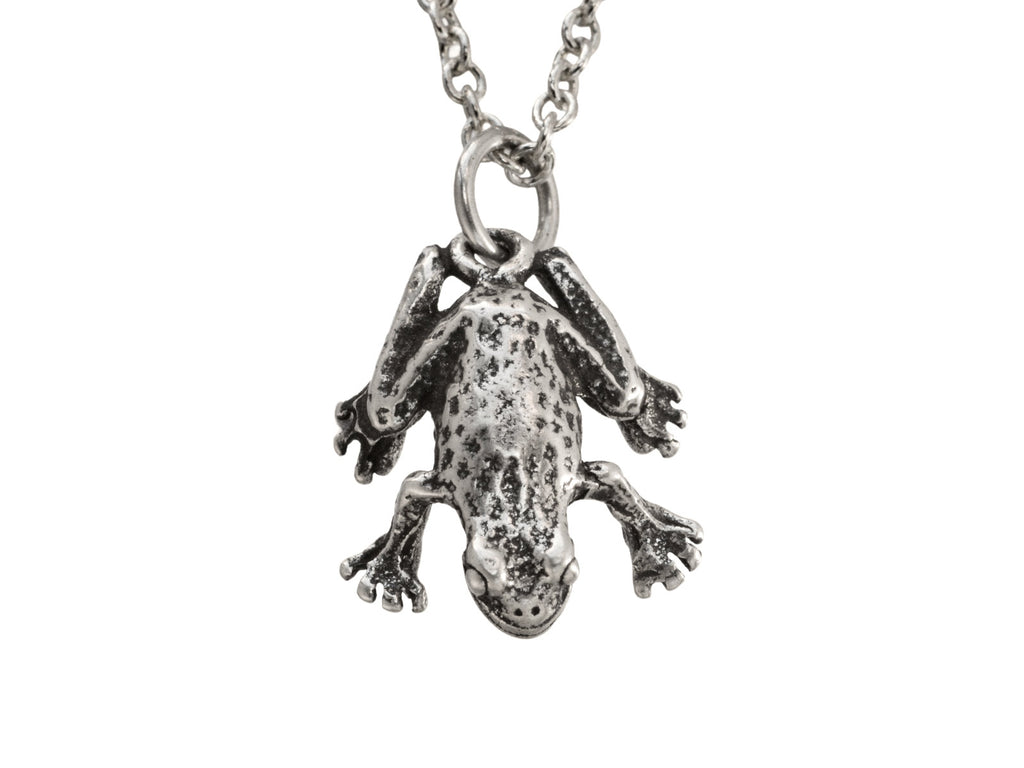 Detail of a vintage sterling silver frog pendant, shown on white background