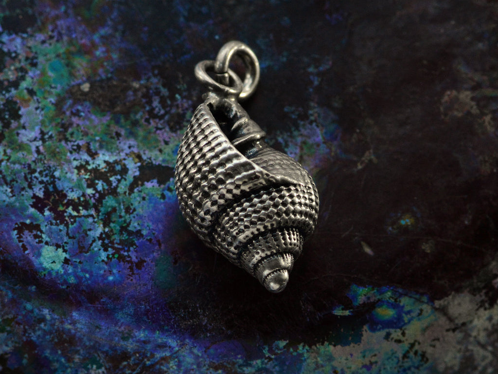 Opposite side of vintage silver shell charm on dark iridescent background.