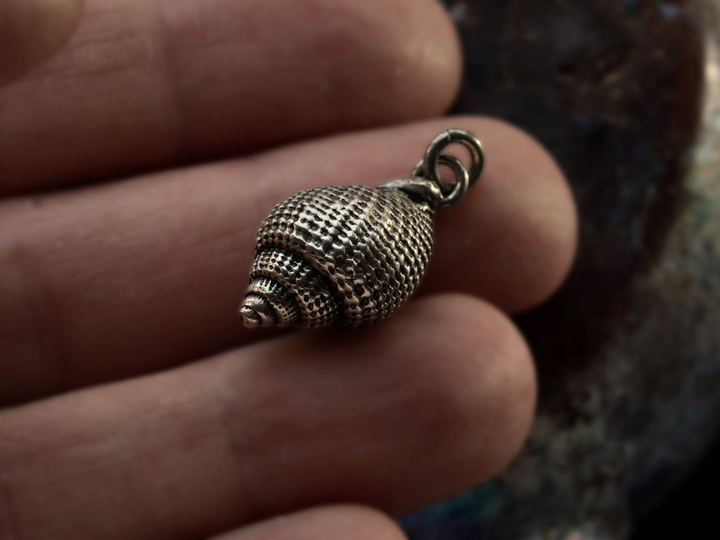 c1980 Silver Shell Charm shown held in fingers.