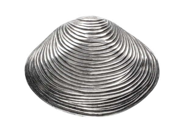 A silver ribbed clam shell brooch on white background.