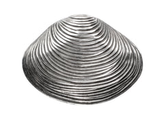 thumbnail of A silver ribbed clam shell brooch on white background.