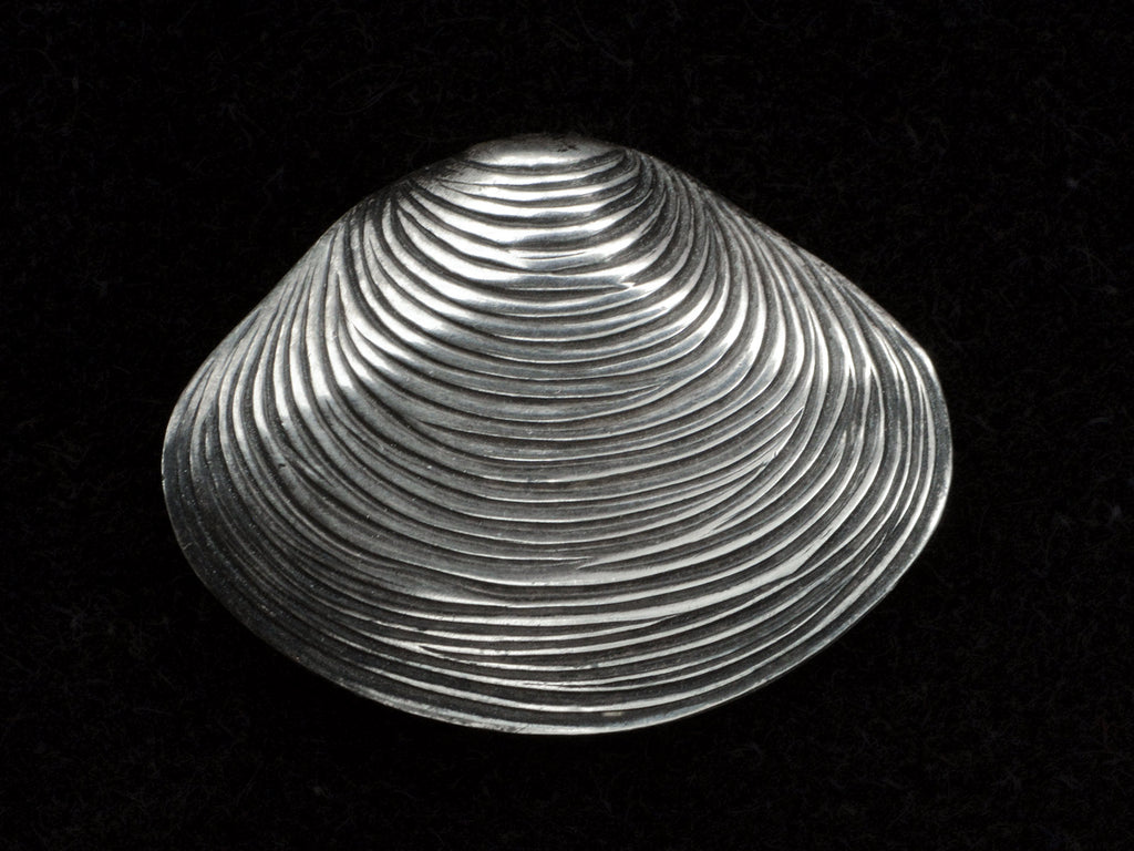 A silver ribbed clam shell brooch on black background.
