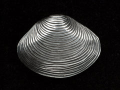 thumbnail of A silver ribbed clam shell brooch on black background.