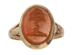 thumbnail of 1891 Ring with oval orange carnelian intaglio of a tree set in rosy-yellow gold, shown on white background.