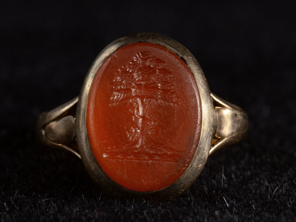 Face on view of 1891 Ring with oval orange carnelian intaglio of a tree set in rosy-yellow gold, shown on black background.