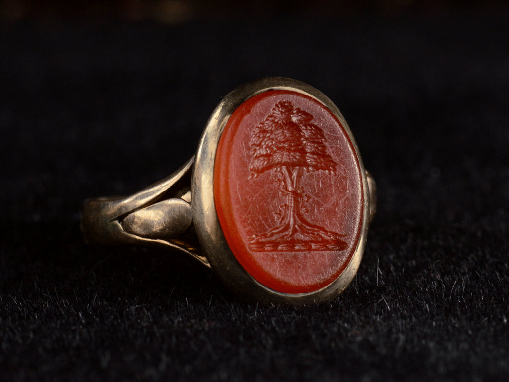 Angled view of 1891 Ring with oval orange carnelian intaglio of a tree set in rosy-yellow gold, shown on black background.