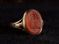 thumbnail of Angled view of 1891 Ring with oval orange carnelian intaglio of a tree set in rosy-yellow gold, shown on black background.