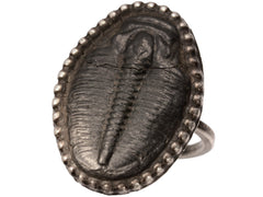 thumbnail of Right angled view of black trilobite fossil ring in silver (shown on white background)