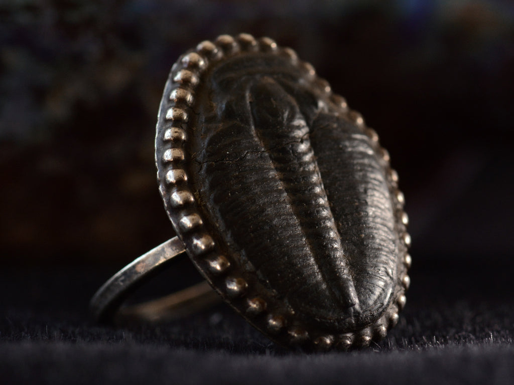 Left angled view of black trilobite fossil ring in silver (shown on dark background)