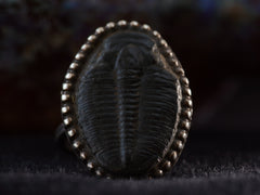 thumbnail of Front view of black trilobite fossil ring in silver (shown on dark background)