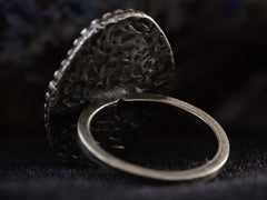 thumbnail of Reverse view of black trilobite fossil ring in silver (shown on dark background)