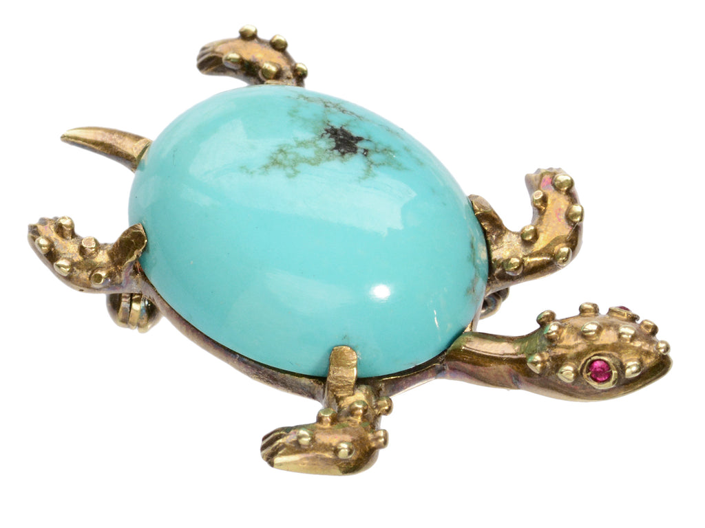 c1960 Turquoise Sea Turtle (on white background)