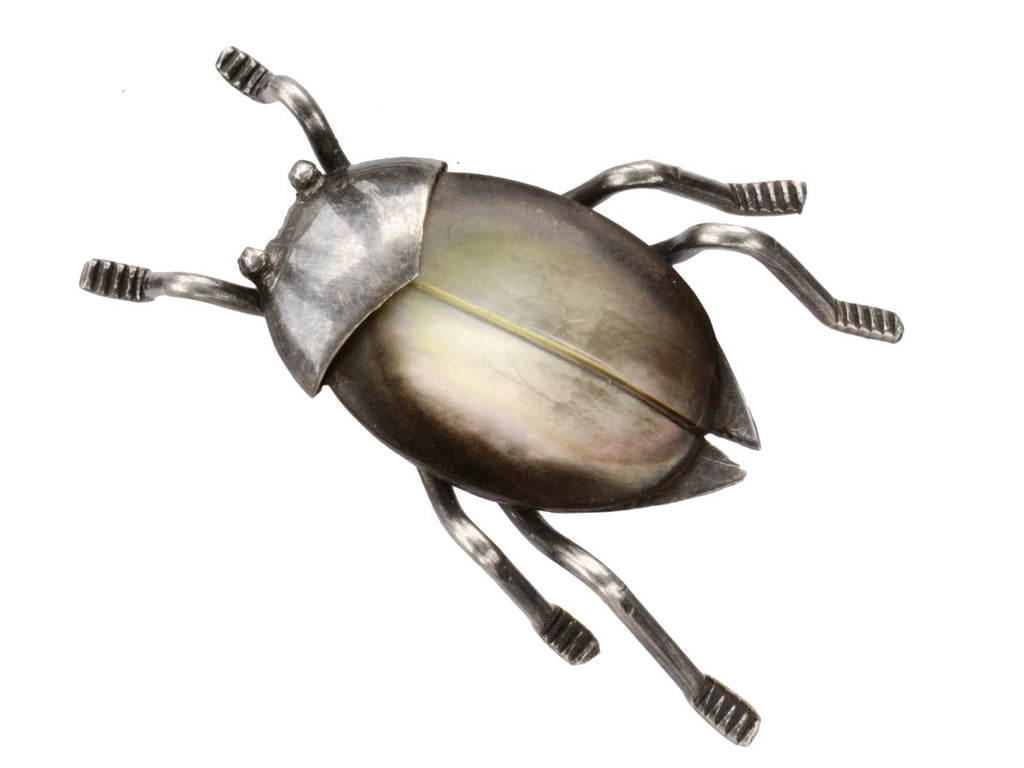 1950s Abalone Bug Brooch (on white background)