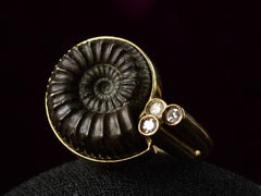 1990s Ammonite Ring