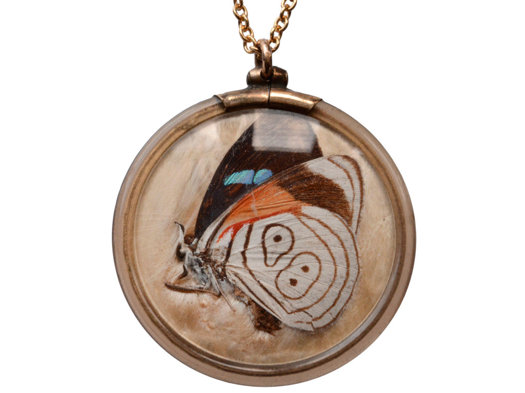 1930s Butterfly Wing Pendant (on white background)