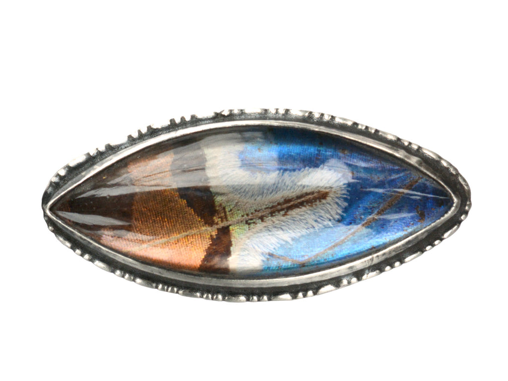 1920s Butterfly Wing Brooch (on white background)