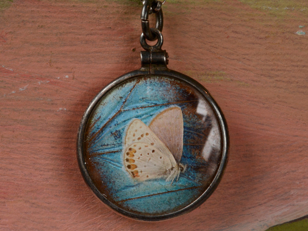 Victorian Butterfly Wing Pendant 1920s Butterfly Wing Pendant