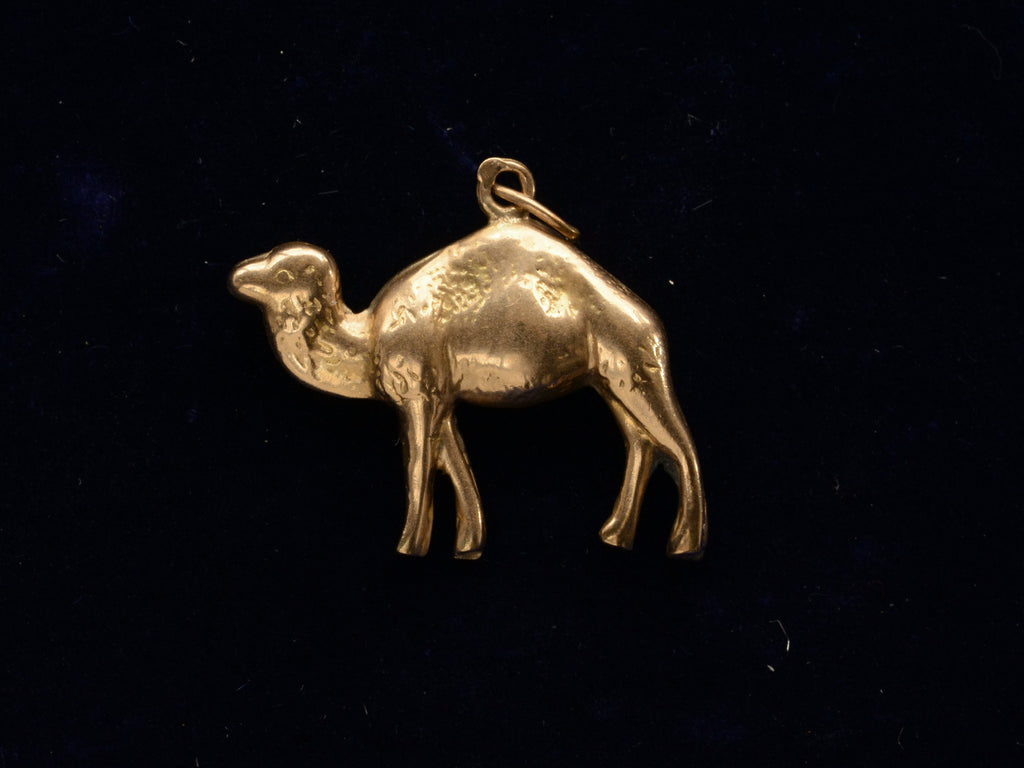 c1960 Gold Camel Charm (on black background)