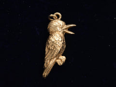 thumbnail of 1962 Kookaburra Charm (on black background)