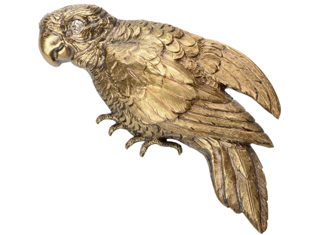 c1880 Parrot Brooch