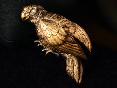 thumbnail of c1880 Parrot Brooch (on black background)