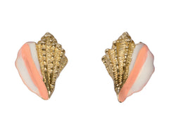 Vintage Conch Shell Earrings (on white background)