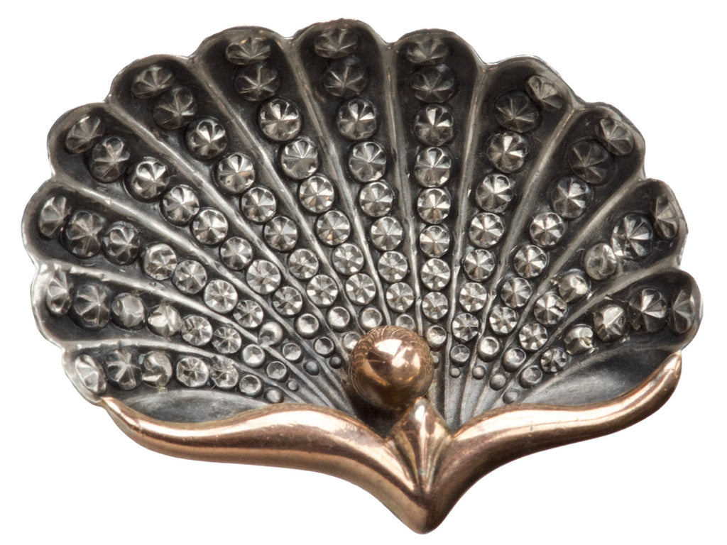 1890s French Shell Brooch
