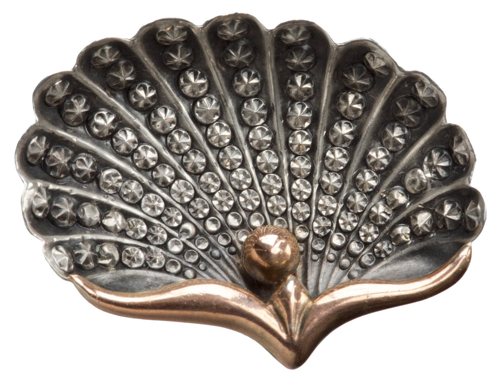1890s French Shell Brooch (on white background)